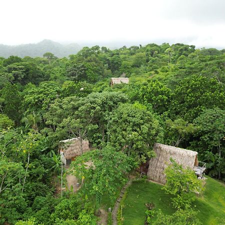 Tiny Houses Unique Tayrona - Dentro Del Parque Tayrona 埃尔扎伊诺 外观 照片