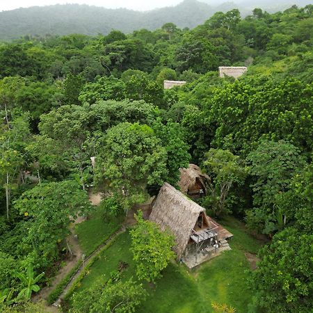 Tiny Houses Unique Tayrona - Dentro Del Parque Tayrona 埃尔扎伊诺 外观 照片