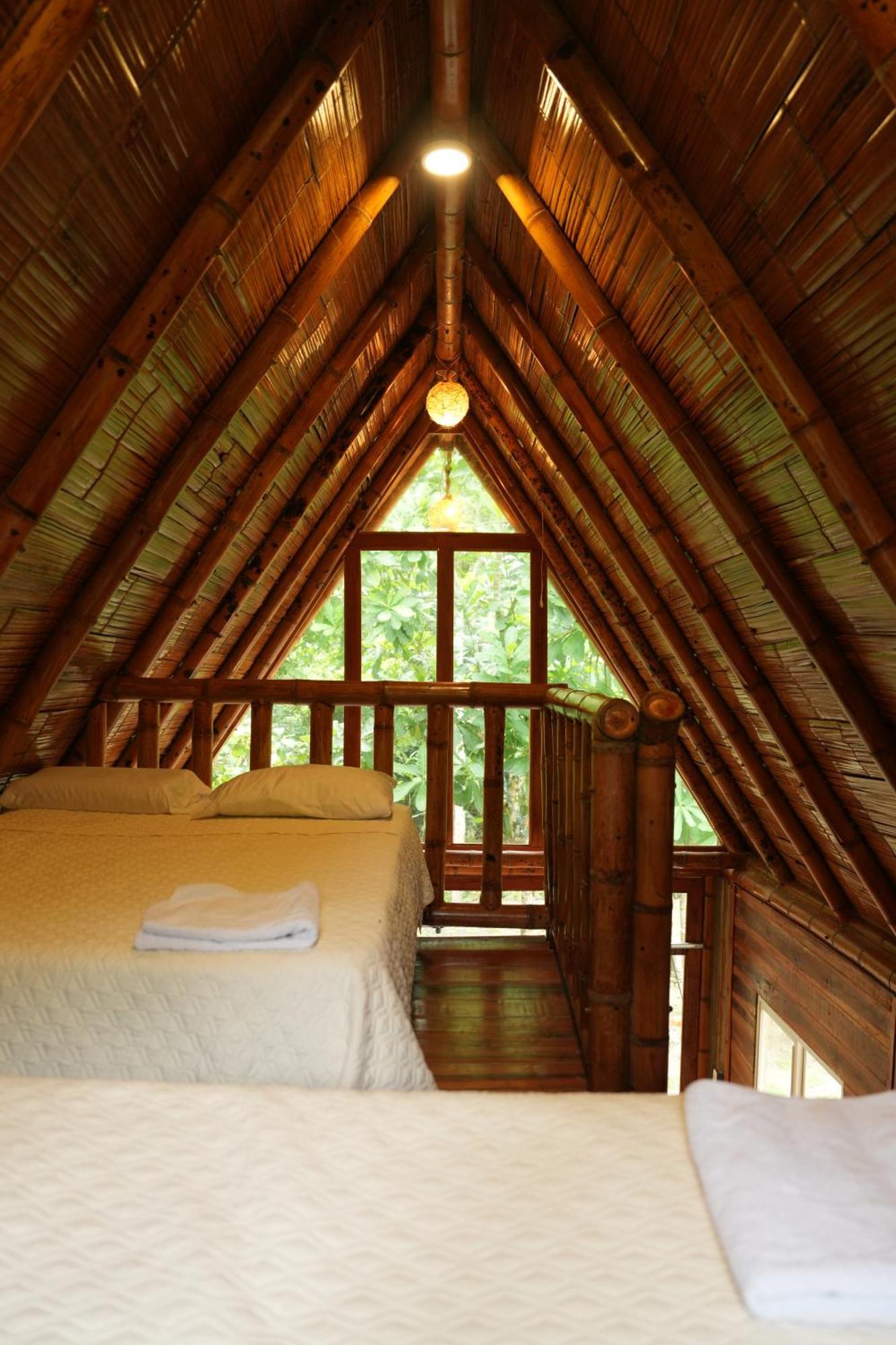 Tiny Houses Unique Tayrona - Dentro Del Parque Tayrona 埃尔扎伊诺 外观 照片