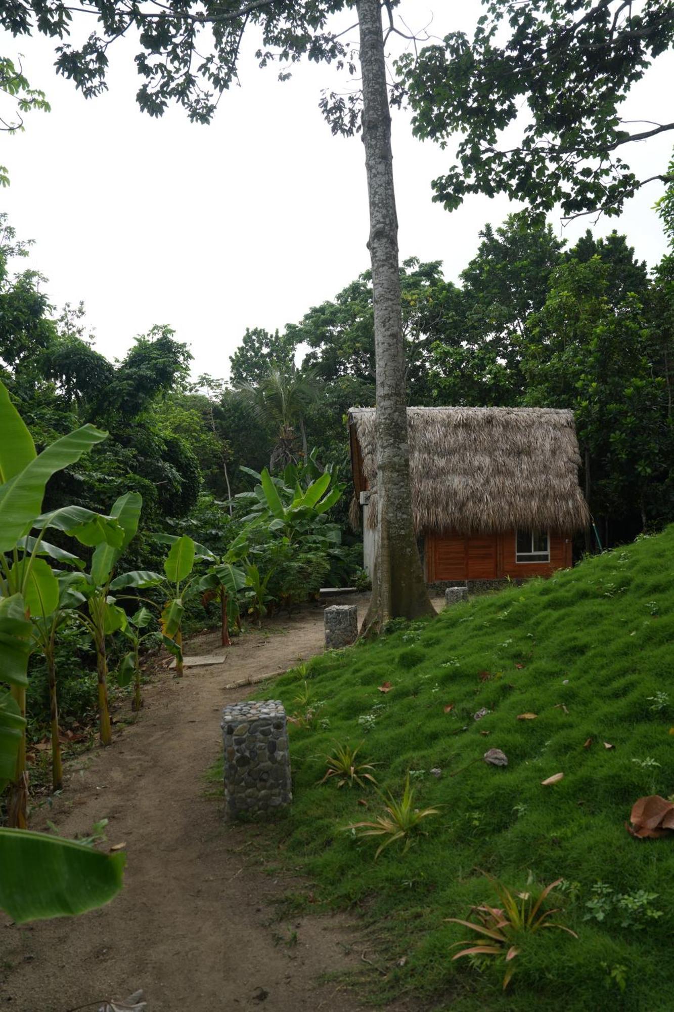 Tiny Houses Unique Tayrona - Dentro Del Parque Tayrona 埃尔扎伊诺 外观 照片