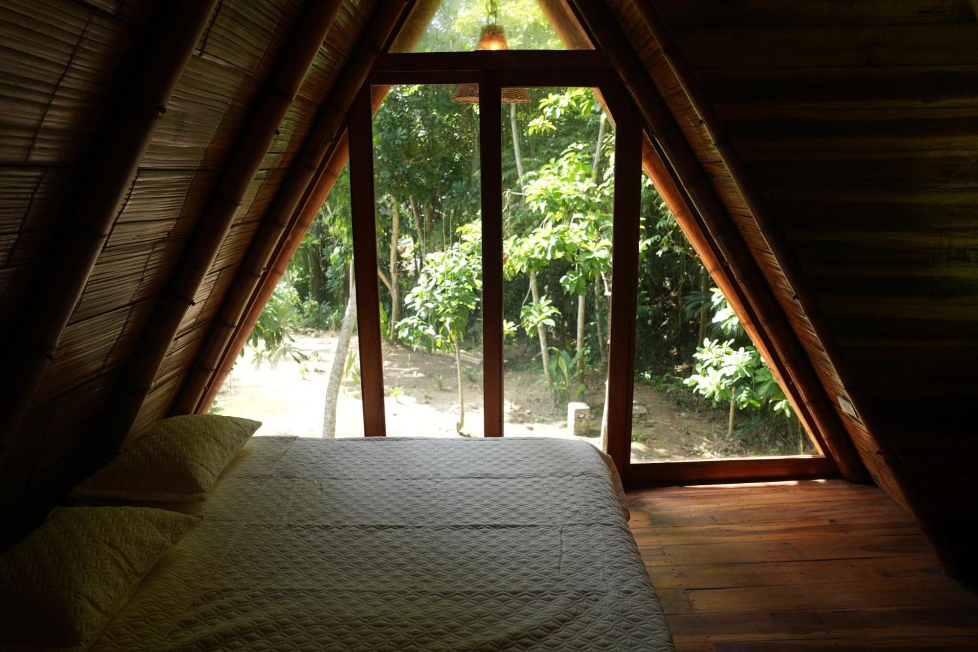 Tiny Houses Unique Tayrona - Dentro Del Parque Tayrona 埃尔扎伊诺 外观 照片