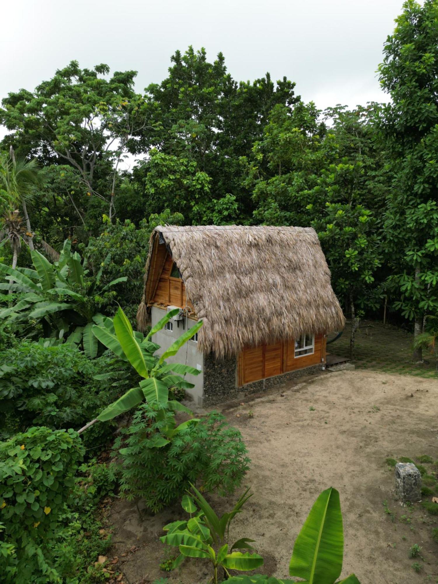 Tiny Houses Unique Tayrona - Dentro Del Parque Tayrona 埃尔扎伊诺 外观 照片