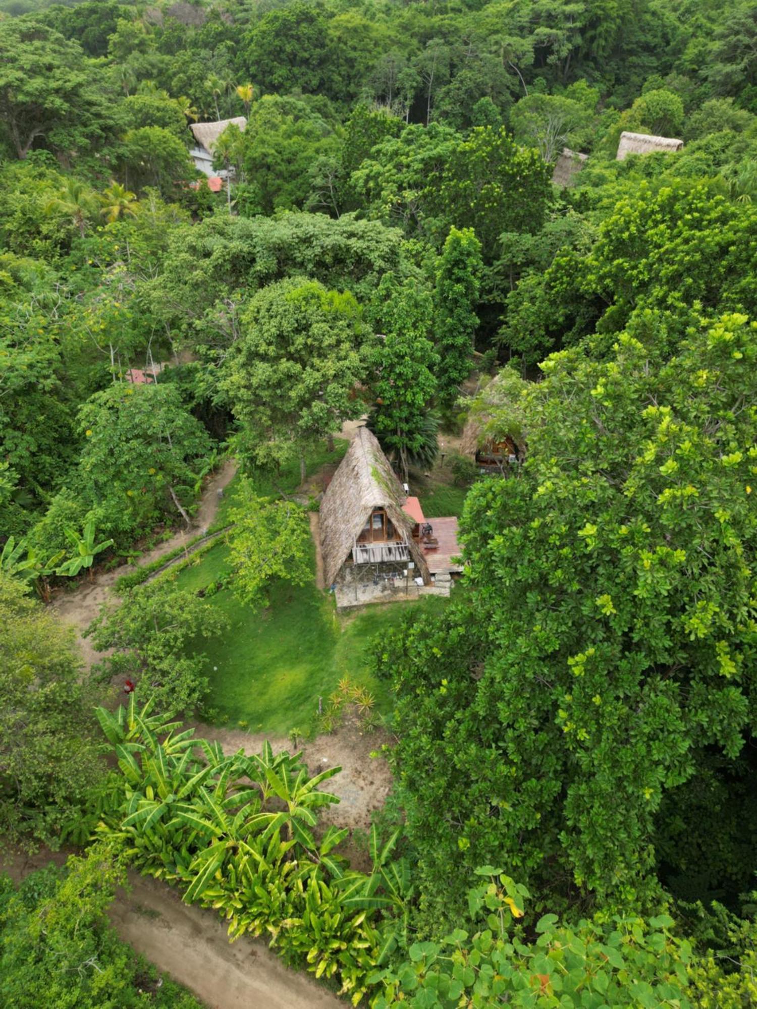 Tiny Houses Unique Tayrona - Dentro Del Parque Tayrona 埃尔扎伊诺 外观 照片