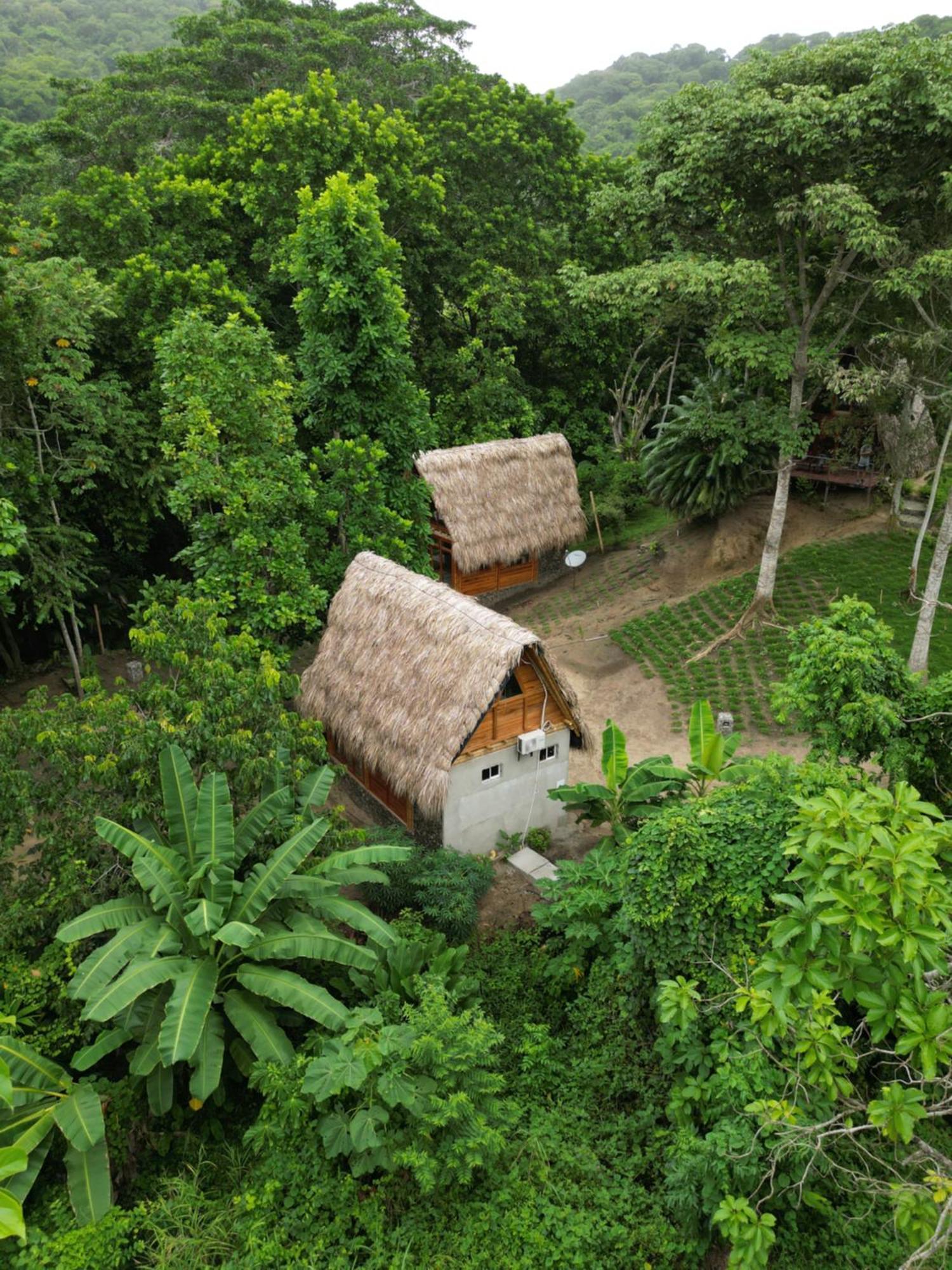 Tiny Houses Unique Tayrona - Dentro Del Parque Tayrona 埃尔扎伊诺 外观 照片