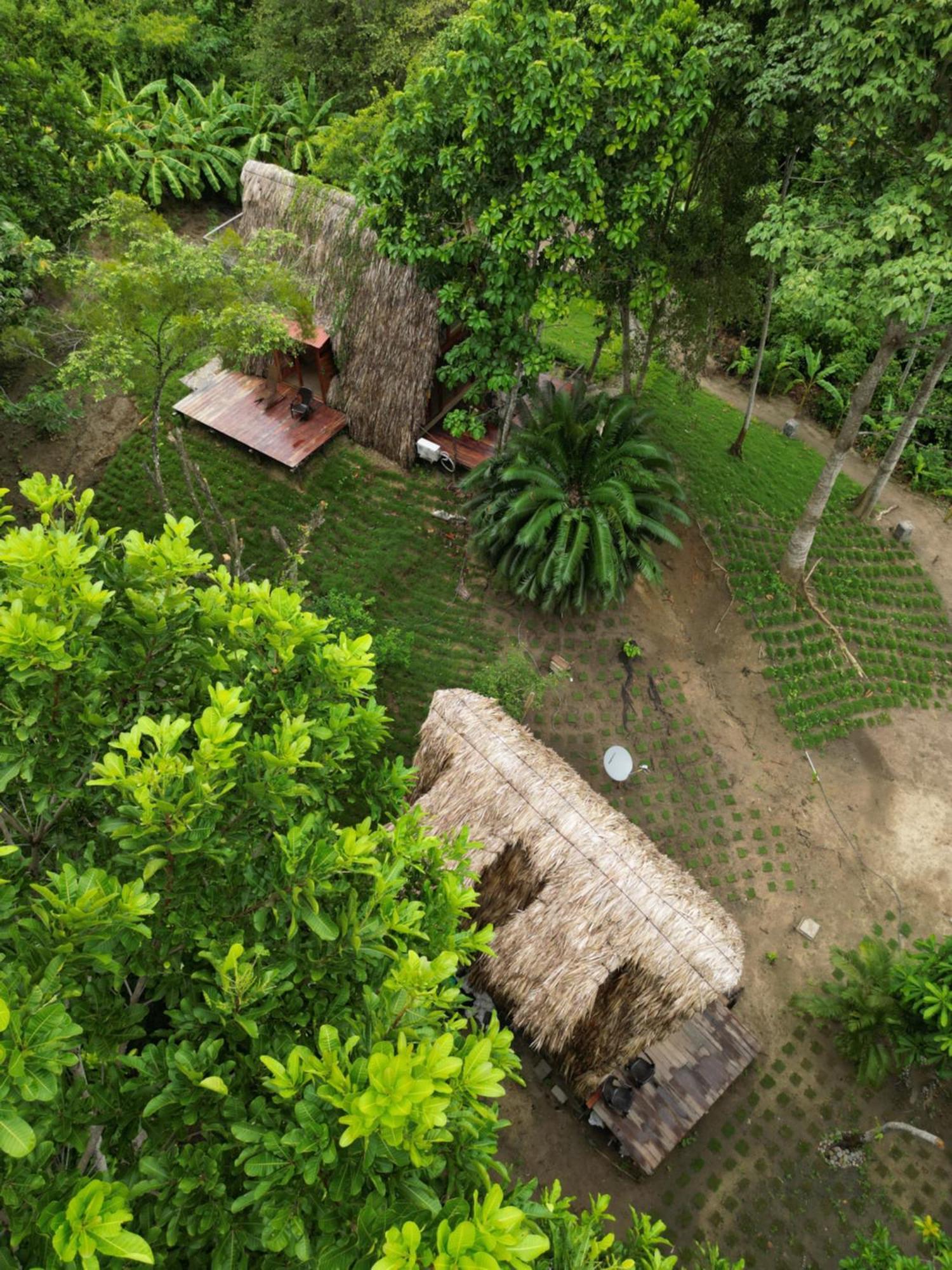 Tiny Houses Unique Tayrona - Dentro Del Parque Tayrona 埃尔扎伊诺 外观 照片