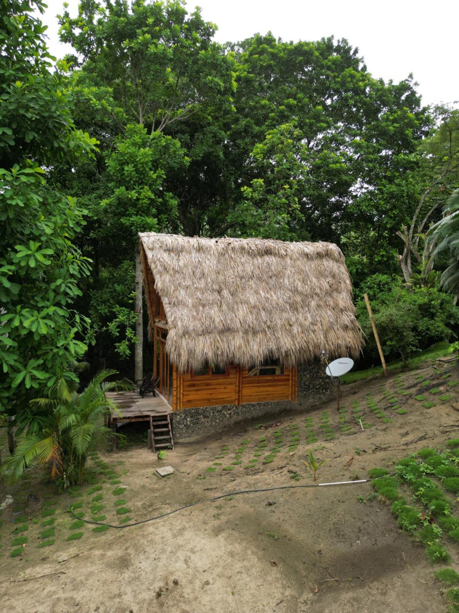 Tiny Houses Unique Tayrona - Dentro Del Parque Tayrona 埃尔扎伊诺 外观 照片