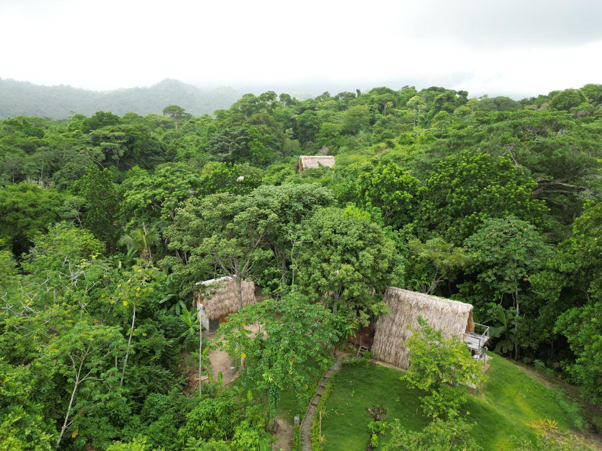 Tiny Houses Unique Tayrona - Dentro Del Parque Tayrona 埃尔扎伊诺 外观 照片