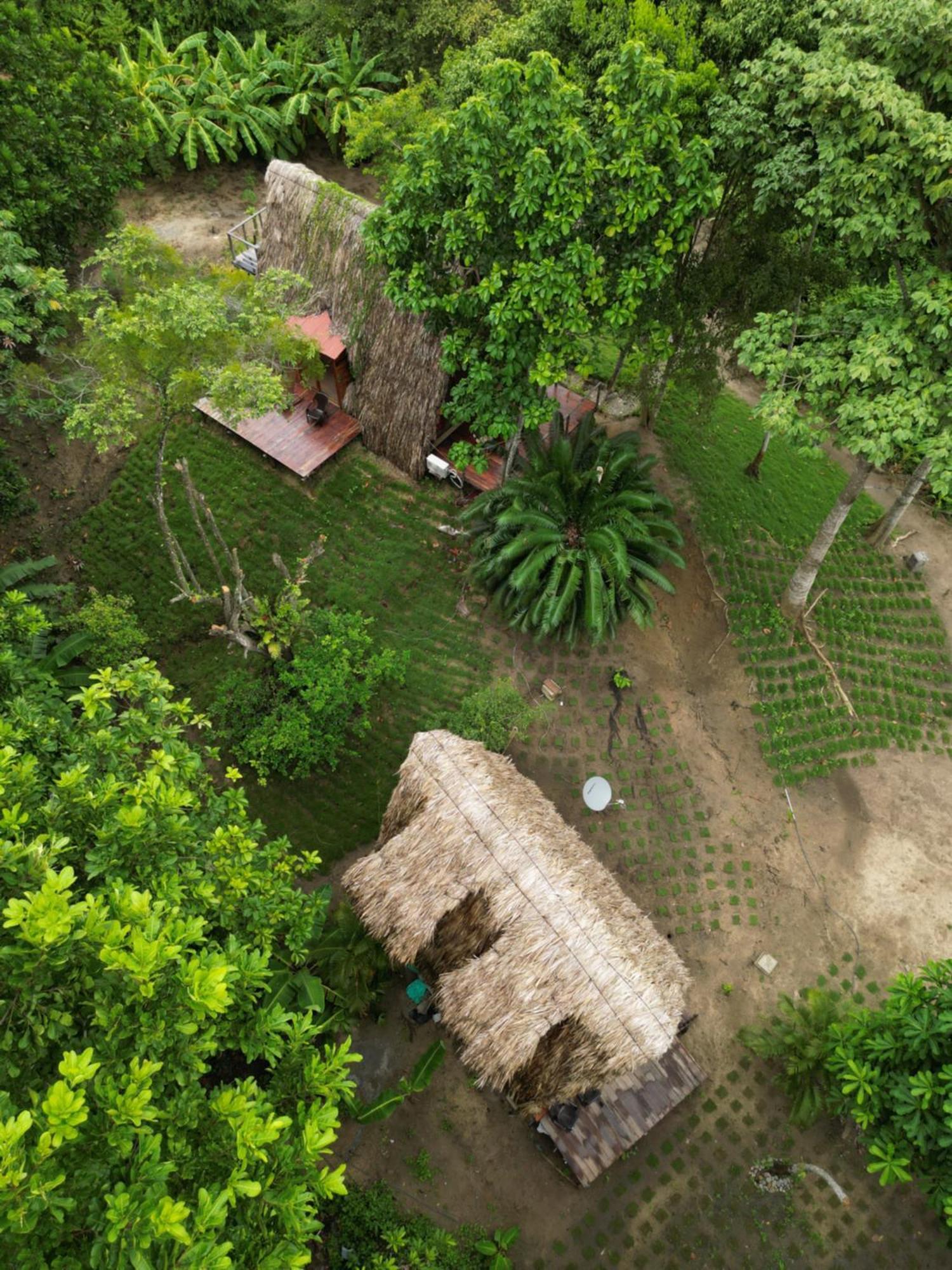 Tiny Houses Unique Tayrona - Dentro Del Parque Tayrona 埃尔扎伊诺 外观 照片