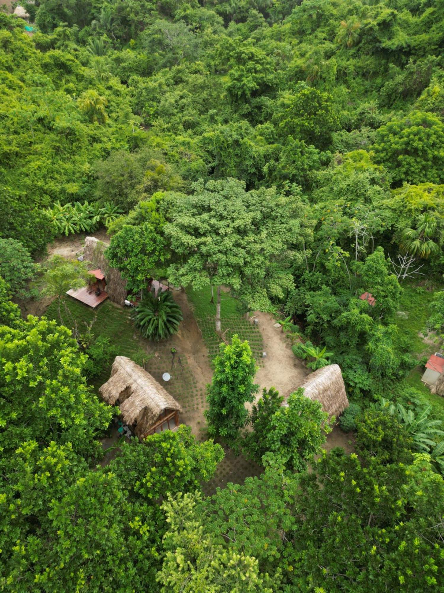 Tiny Houses Unique Tayrona - Dentro Del Parque Tayrona 埃尔扎伊诺 外观 照片