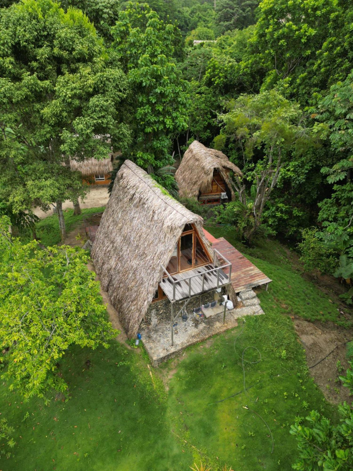 Tiny Houses Unique Tayrona - Dentro Del Parque Tayrona 埃尔扎伊诺 外观 照片