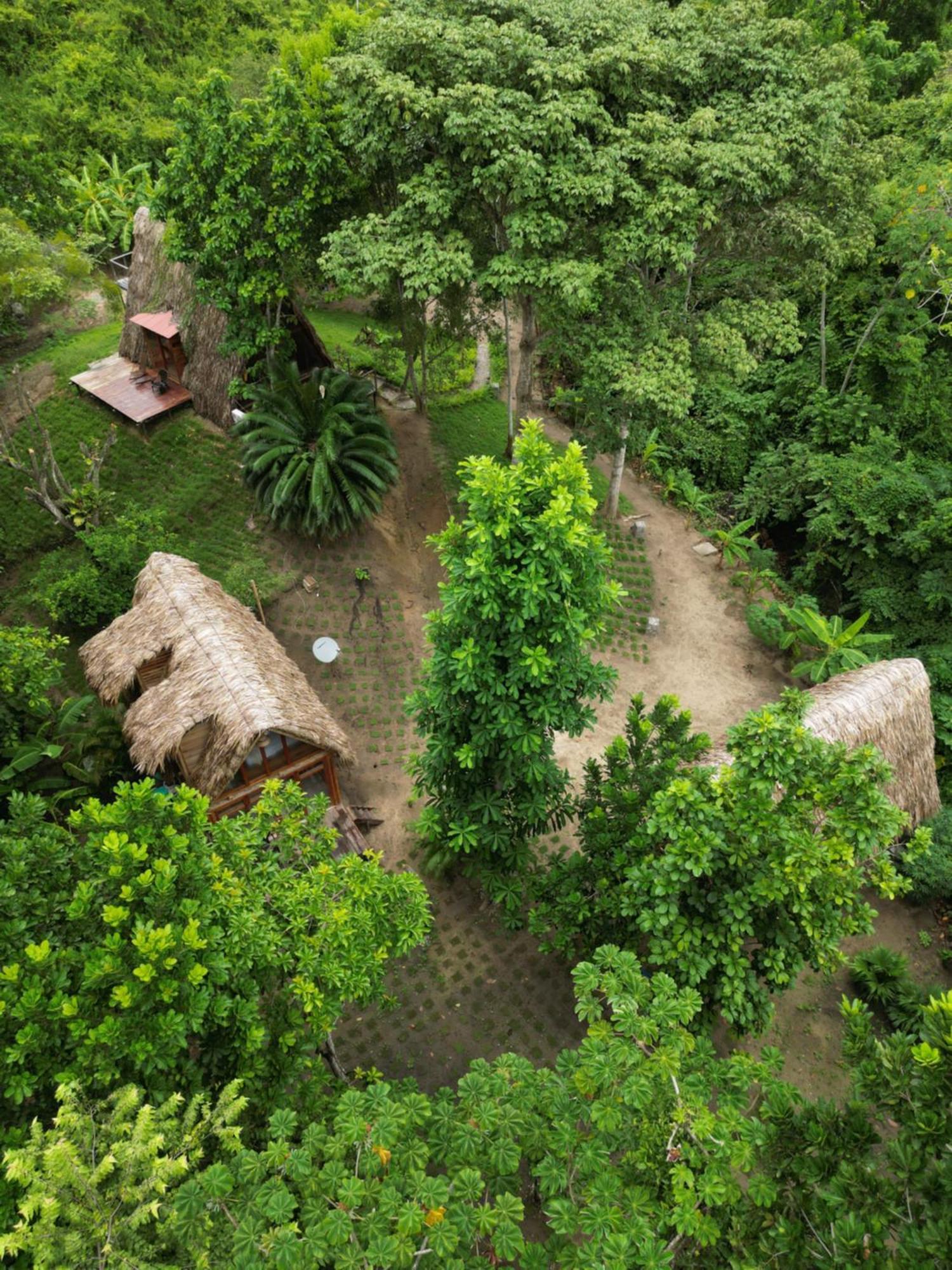 Tiny Houses Unique Tayrona - Dentro Del Parque Tayrona 埃尔扎伊诺 外观 照片