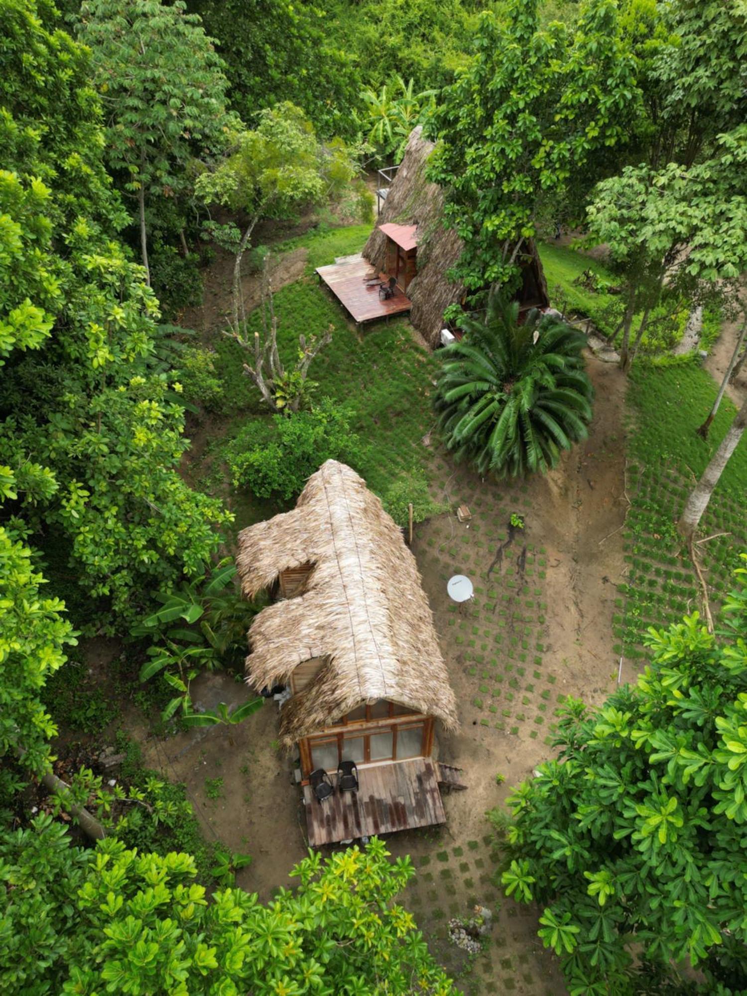 Tiny Houses Unique Tayrona - Dentro Del Parque Tayrona 埃尔扎伊诺 外观 照片