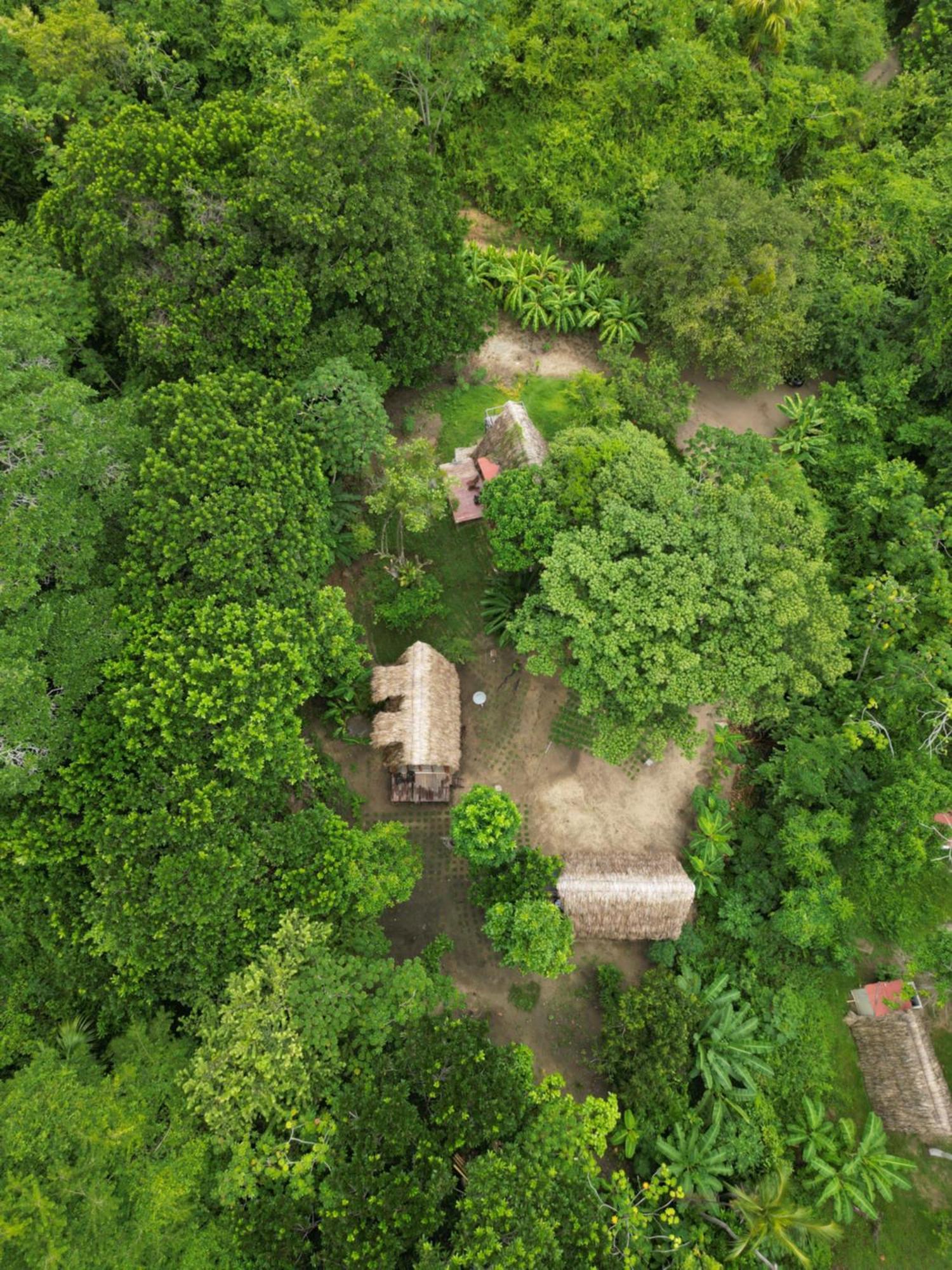 Tiny Houses Unique Tayrona - Dentro Del Parque Tayrona 埃尔扎伊诺 外观 照片