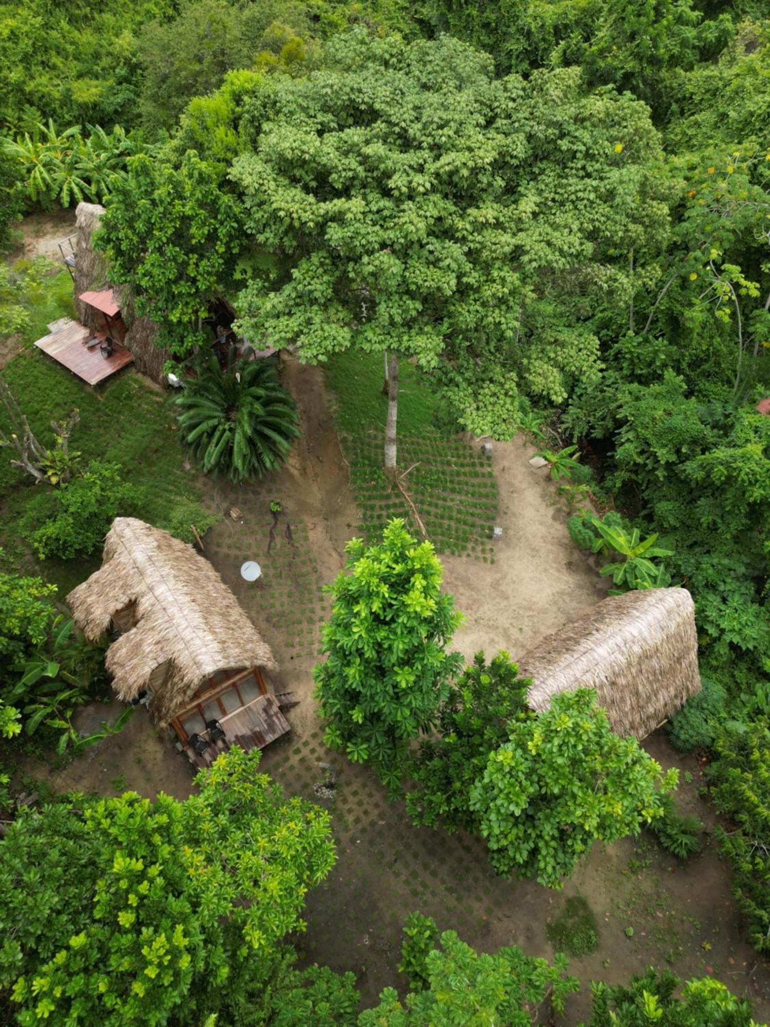 Tiny Houses Unique Tayrona - Dentro Del Parque Tayrona 埃尔扎伊诺 外观 照片