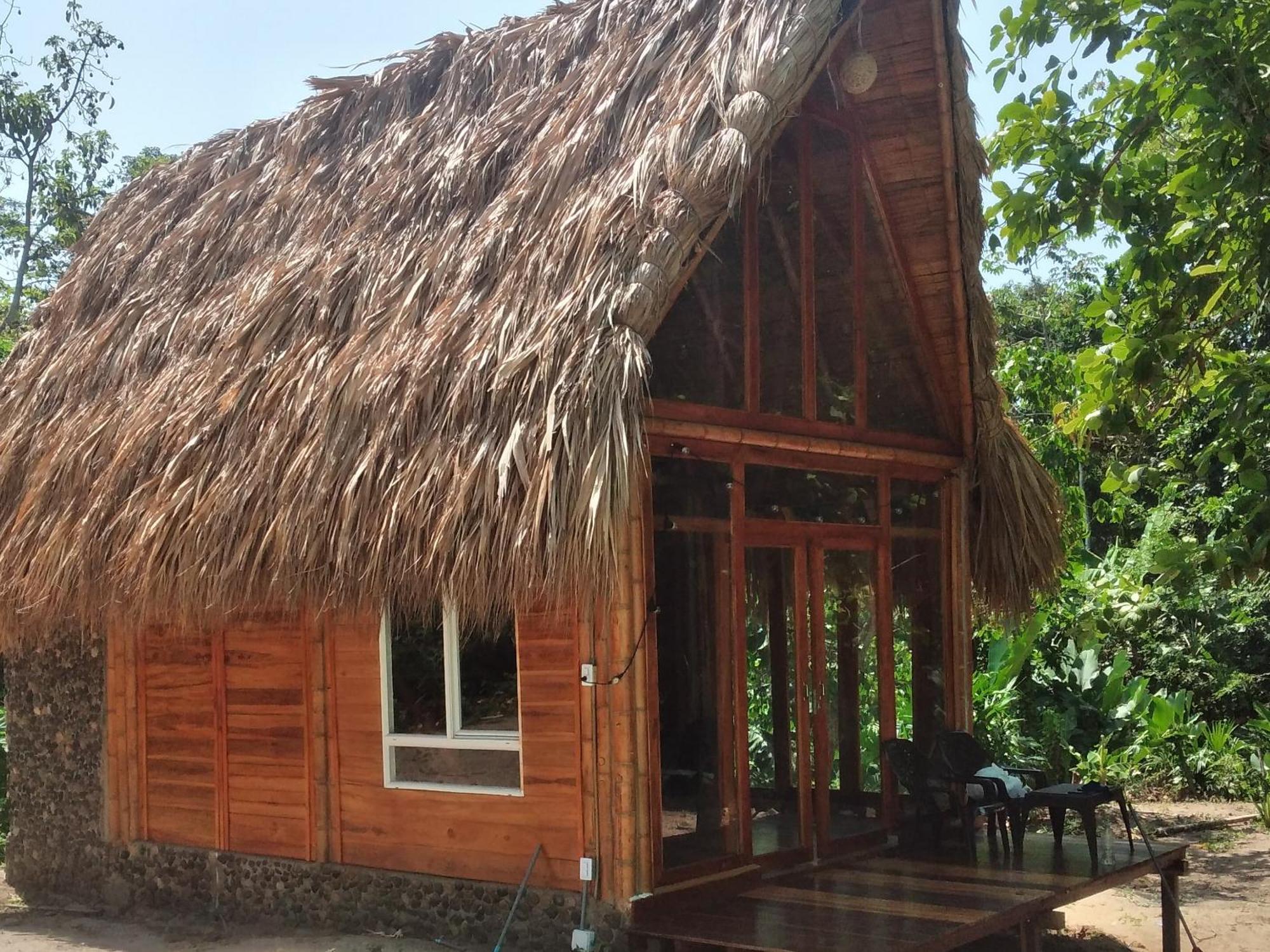 Tiny Houses Unique Tayrona - Dentro Del Parque Tayrona 埃尔扎伊诺 客房 照片