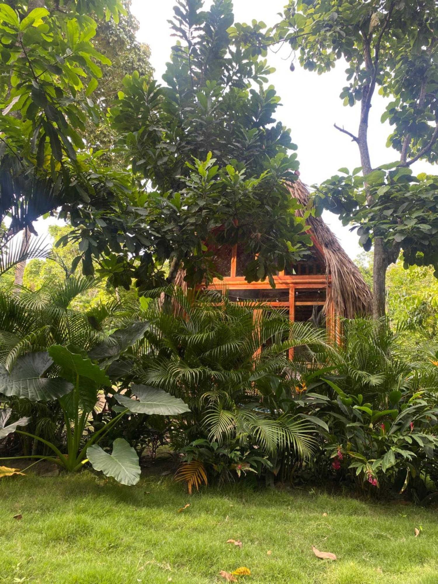 Tiny Houses Unique Tayrona - Dentro Del Parque Tayrona 埃尔扎伊诺 外观 照片