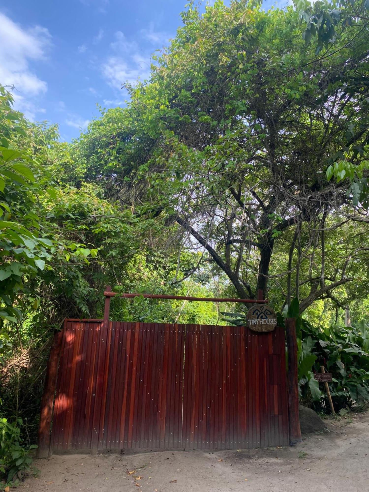 Tiny Houses Unique Tayrona - Dentro Del Parque Tayrona 埃尔扎伊诺 外观 照片